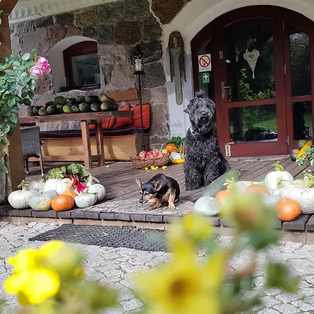 Leśniczówka Okominek - Gościnne Nad Jeziorem *